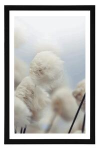 Plakat z passe-partout arktyczne kwiaty bawełny