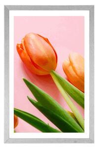 Plakat z passe-partout elegancki tulipan