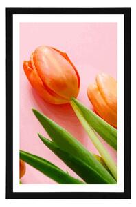 Plakat z passe-partout elegancki tulipan
