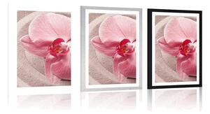 Plakat z passe-partout morski piasek i różowa orchidea