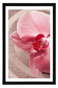 Plakat z passe-partout morski piasek i różowa orchidea