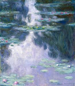 Reprodukcja Water-Lilies 1907, Claude Monet