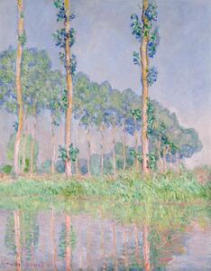 Reprodukcja Poplars Pink Effect 1891, Claude Monet