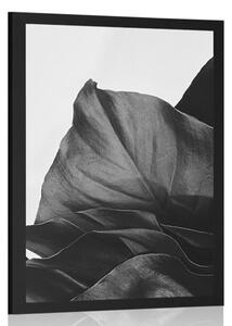 Plakat magiczny liść monstery w czerni i bieli