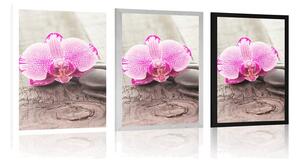 Plakat z passe-partout orchidea i kamienie Zen na drewnianym tle