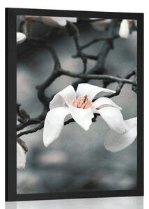 Plakat przebudzenie magnolii