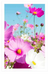 Plakat łąka wiosennych kwiatów