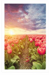 Plakat wschód słońca nad łąką z tulipanami