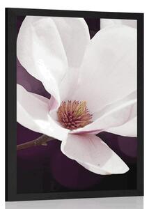 Plakat kwiat magnolii na abstrakcyjnym tle