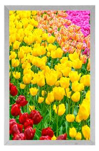 Plakat ogród pełen tulipanów