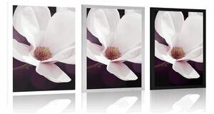 Plakat kwiat magnolii na abstrakcyjnym tle