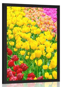 Plakat ogród pełen tulipanów