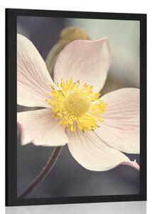 Plakat delikatność kwiatu