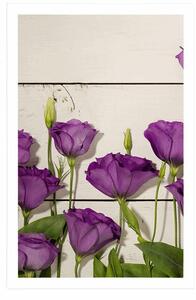 Plakat piękne fioletowe kwiaty