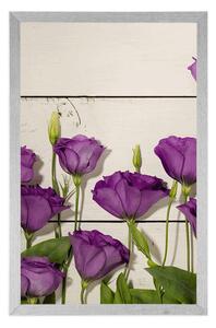 Plakat piękne fioletowe kwiaty