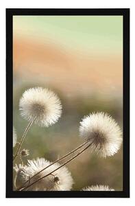 Plakat panorama kwitnącej łąki