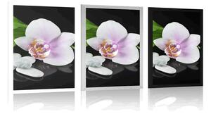 Plakat kamienie zen i orchidea