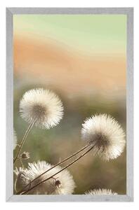 Plakat panorama kwitnącej łąki