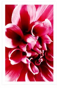 Plakat różowy kwiat