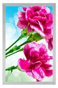 Plakat kwiat goździka