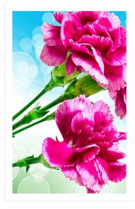 Plakat kwiat goździka