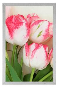 Plakat wiosenne tulipany