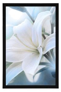 Plakat biały kwiat lilii na abstrakcyjnym tle
