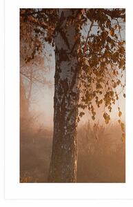 Plakat z passe-partout mglisty jesienny las