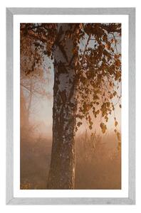 Plakat z passe-partout mglisty jesienny las
