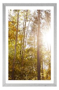 Plakat z passe-partout las w jesiennych kolorach