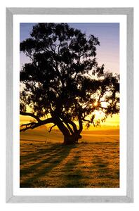 Plakat z passe-partout samotne drzewo o zachodzie słońca