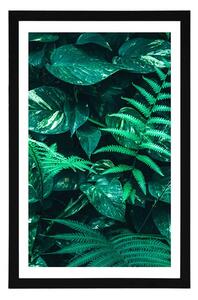 Plakat z passe-partout świeże tropikalne liście