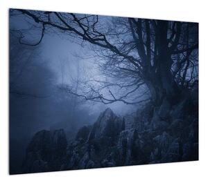 Obraz na szkle ciemnego lasu (70x50 cm)