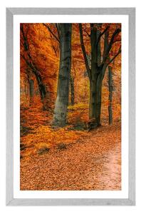 Plakat z passe-partout las w sezonie jesiennym
