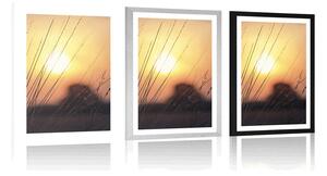 Plakat z passe-partout wschód słońca nad łąką