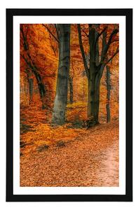 Plakat z passe-partout las w sezonie jesiennym