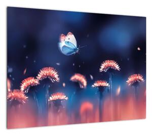Obraz na szkle dmuchawca z niebieskim motylem (70x50 cm)