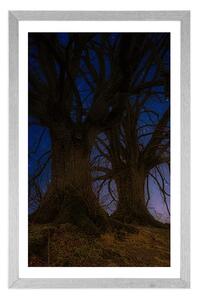 Plakat z passe-partout drzewa w nocnym krajobrazie