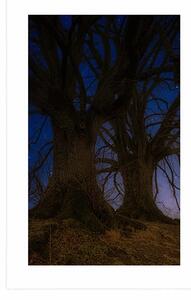 Plakat z passe-partout drzewa w nocnym krajobrazie