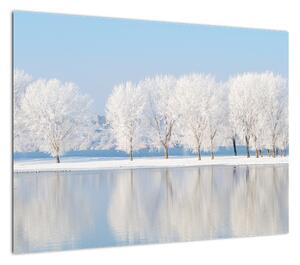 Obraz na szkle zimowego krajobrazu (70x50 cm)
