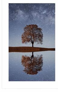 Plakat z passe-partout gwiaździste niebo nad samotnym drzewem