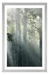 Plakat z passe-partout promienie słońca w mglistym lesie