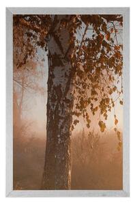 Plakat mglisty jesienny las
