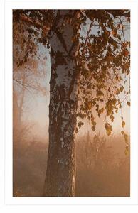 Plakat mglisty jesienny las