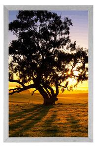 Plakat samotne drzewo o zachodzie słońca