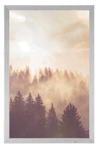 Plakat mgła nad lasem