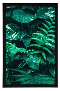 Plakat świeże tropikalne liście