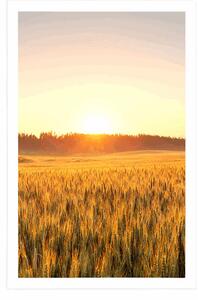 Plakat zachód słońca nad polem pszenicy
