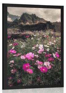 Plakat łąka kwitnących kwiatów
