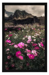 Plakat łąka kwitnących kwiatów